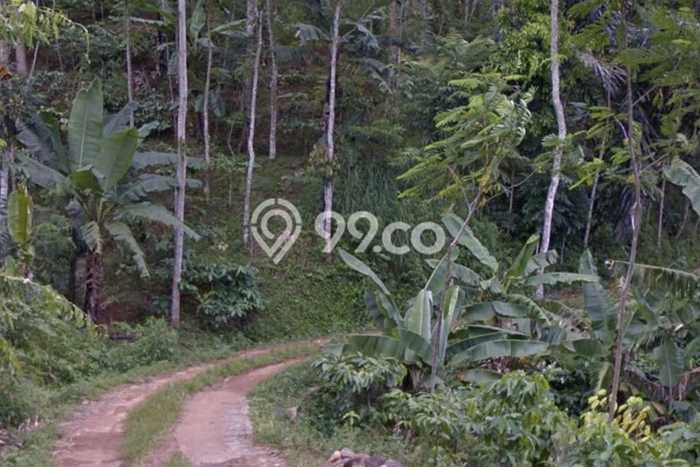 Tanah Komersial Disewakan di Kandangan Temanggung Seluas 1.38e+06m2 Tanah Komersial Disewakan di Kandangan Temanggung Seluas 1.38e+06m2
