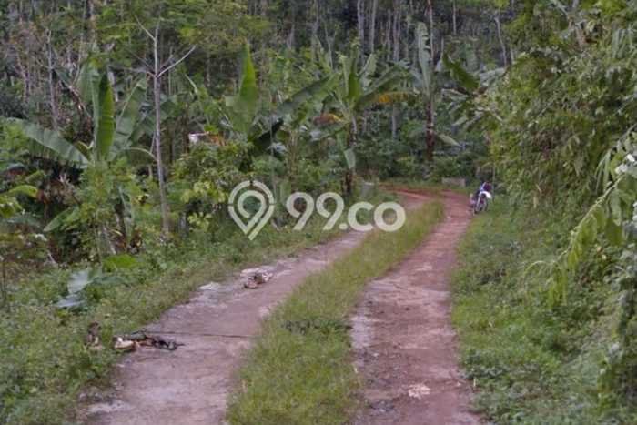 Tanah Komersial Disewakan di Kandangan Temanggung Seluas 1.38e+06m2 Tanah Komersial Disewakan di Kandangan Temanggung Seluas 1.38e+06m2
