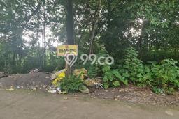 Kavling Tanah Dijual di Gondangrejo, Karanganyar, Luas 2655m2 Area Strategis Kavling Tanah Dijual di Gondangrejo, Karanganyar, Luas 2655m2 Area Strategis