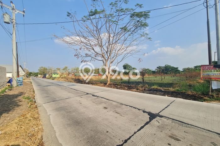 Lahan Dijual Lokasi Delanggu, Klaten dengan Luas Tanah 2315m2 dan Status SHM Lahan Dijual Lokasi Delanggu, Klaten dengan Luas Tanah 2315m2 dan Status SHM
