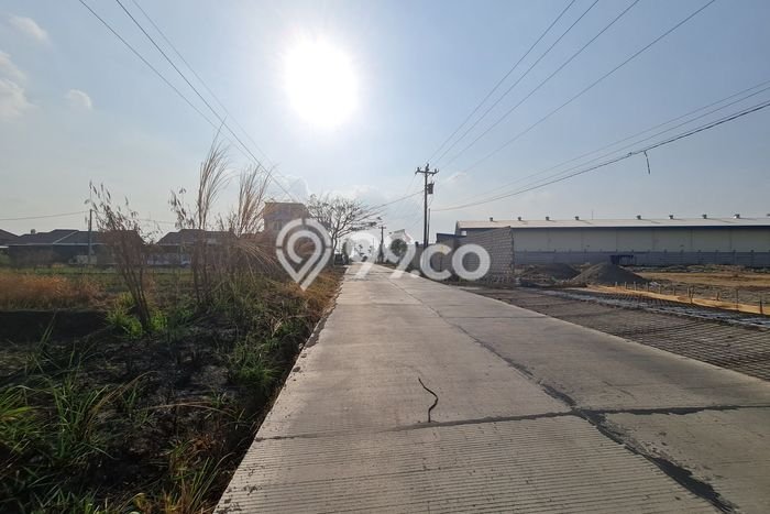 Lahan Dijual Lokasi Delanggu, Klaten dengan Luas Tanah 2315m2 dan Status SHM Lahan Dijual Lokasi Delanggu, Klaten dengan Luas Tanah 2315m2 dan Status SHM