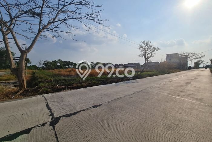 Lahan Dijual Lokasi Delanggu, Klaten dengan Luas Tanah 2315m2 dan Status SHM Lahan Dijual Lokasi Delanggu, Klaten dengan Luas Tanah 2315m2 dan Status SHM