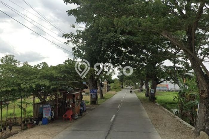 Tanah Dijual Lokasi Wonosari, Klaten dengan Luas Tanah 5959m2 dan Status SHM Tanah Dijual Lokasi Wonosari, Klaten dengan Luas Tanah 5959m2 dan Status SHM