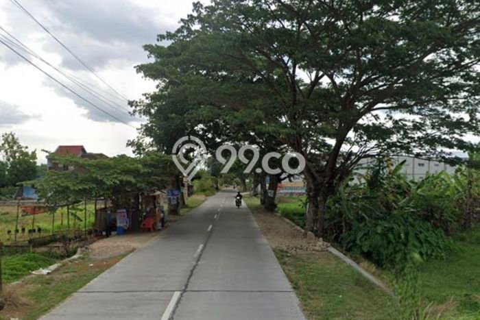 Tanah Dijual Lokasi Wonosari, Klaten dengan Luas Tanah 5959m2 dan Status SHM Tanah Dijual Lokasi Wonosari, Klaten dengan Luas Tanah 5959m2 dan Status SHM