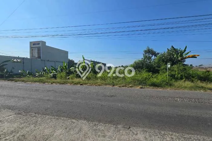 Jarang Ada! Tanah di Juwiring Punya Luas 17195m2 SHM Jarang Ada! Tanah di Juwiring Punya Luas 17195m2 SHM