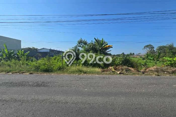 Jarang Ada! Tanah di Juwiring Punya Luas 17195m2 SHM Jarang Ada! Tanah di Juwiring Punya Luas 17195m2 SHM