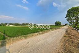 Tanah untuk Dijual Lokasi Grogol, Sukoharjo Luas 2570m2 SHM Tanah untuk Dijual Lokasi Grogol, Sukoharjo Luas 2570m2 SHM