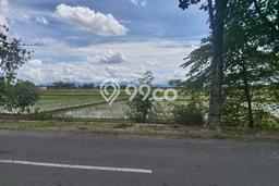 Lahan Strategis di Sukoharjo Dijual dengan Luas 1708m2 Lahan Strategis di Sukoharjo Dijual dengan Luas 1708m2