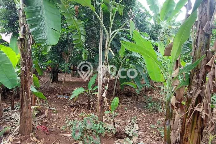 Lahan Kosong Dijual di Mustikajaya, Bekasi, Luas 950m2 Area Strategis Lahan Kosong Dijual di Mustikajaya, Bekasi, Luas 950m2 Area Strategis