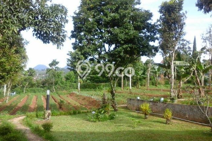Untuk Dijual Tanah di Ciwidey Bandung Luas 7662m2 SHM Untuk Dijual Tanah di Ciwidey Bandung Luas 7662m2 SHM
