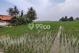 Lahan untuk Dijual di Babelan Bekasi Luas 14700m2 Lahan untuk Dijual di Babelan Bekasi Luas 14700m2