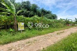 Lahan untuk Dijual Lokasi Cilodong, Depok Luas 420m2 SHM Lahan untuk Dijual Lokasi Cilodong, Depok Luas 420m2 SHM