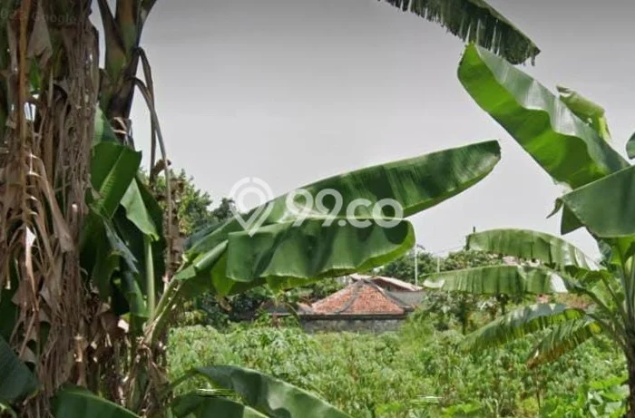 Dijual Tanah Lokasi Sukatani, Depok Seluas 3000m2 Dijual Tanah Lokasi Sukatani, Depok Seluas 3000m2