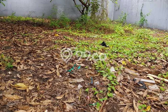Tanah Kavling Dijual di Jakarta Timur dengan Spesifikasi 130m2 Tanah Kavling Dijual di Jakarta Timur dengan Spesifikasi 130m2