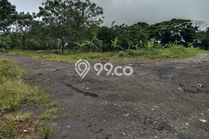 Disewakan Segera Tanah di Neglasari Luas 35000m2 Area Potensial Disewakan Segera Tanah di Neglasari Luas 35000m2 Area Potensial