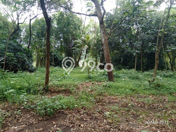 Tanah di Cipayung, Jakarta Timur Luas 12106m2 Dijual Segera Tanah di Cipayung, Jakarta Timur Luas 12106m2 Dijual Segera