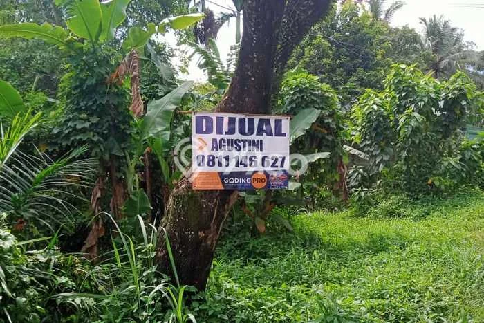 Kavling Tanah di Tanjung Senang Dijual Luas 5650m2 Legalitas SHM Kavling Tanah di Tanjung Senang Dijual Luas 5650m2 Legalitas SHM