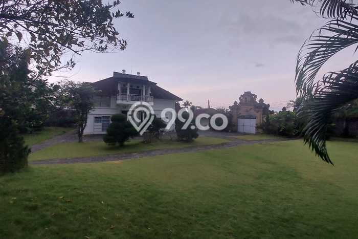 Komersial Disewakan Lokasi Kuta Badung Harga Spesial! Komersial Disewakan Lokasi Kuta Badung Harga Spesial!