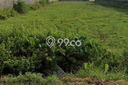 Tanah Kavling Dijual di Kartosuro, Sukoharjo dengan Luas Tanah 3950m2 Tanah Kavling Dijual di Kartosuro, Sukoharjo dengan Luas Tanah 3950m2