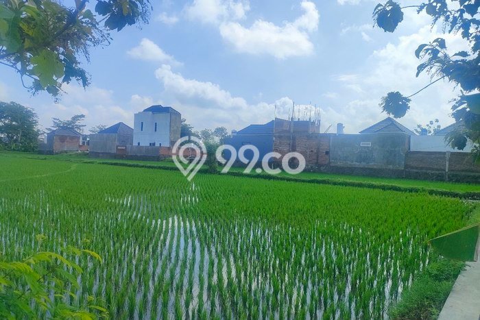 Tanah di Tasikmadu, Karanganyar Luas 2789m2 Dijual Segera Tanah di Tasikmadu, Karanganyar Luas 2789m2 Dijual Segera