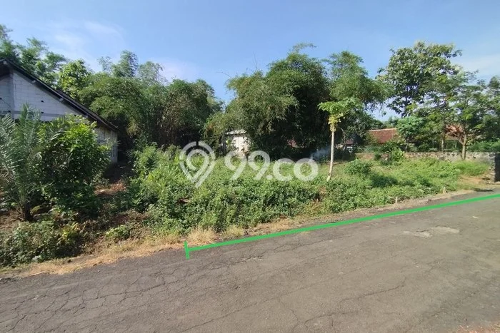 Lahan untuk Dijual di Kalijambe Sragen Luas 998m2 Lahan untuk Dijual di Kalijambe Sragen Luas 998m2
