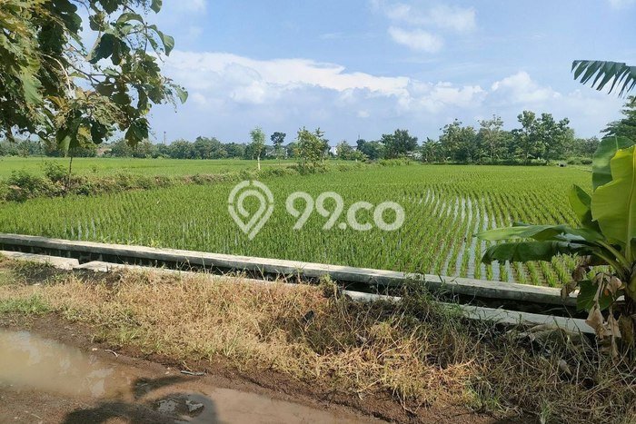 Tanah di Tasikmadu, Karanganyar Luas 2789m2 Dijual Segera Tanah di Tasikmadu, Karanganyar Luas 2789m2 Dijual Segera