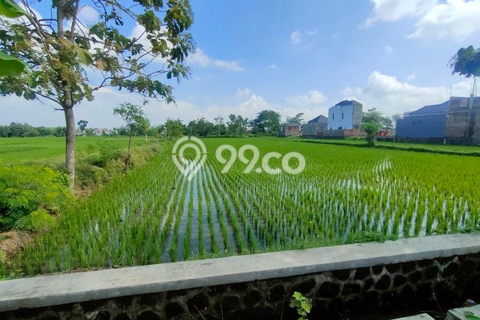 Tanah di Tasikmadu, Karanganyar Luas 2789m2 Dijual Segera Tanah di Tasikmadu, Karanganyar Luas 2789m2 Dijual Segera
