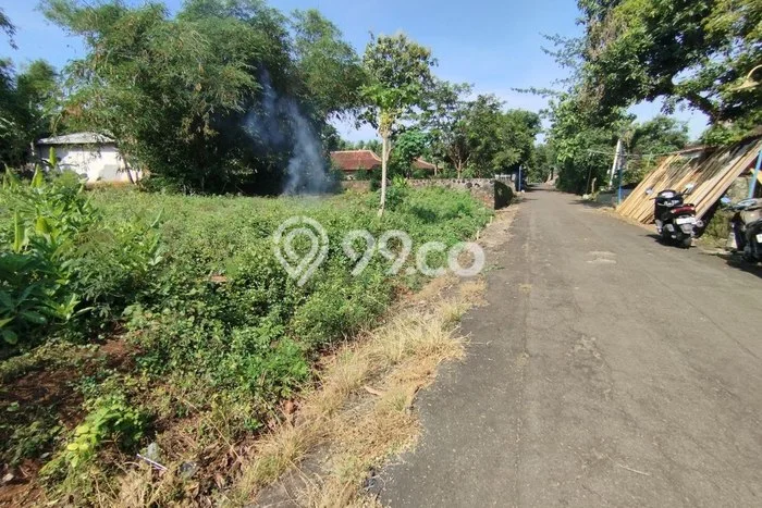 Lahan untuk Dijual di Kalijambe Sragen Luas 998m2 Lahan untuk Dijual di Kalijambe Sragen Luas 998m2