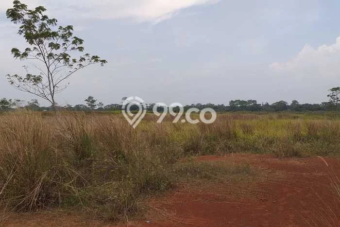 Tanah Dijual Lokasi Kalijati, Subang dengan Luas Tanah 2500m2 dan Status - Tanah Dijual Lokasi Kalijati, Subang dengan Luas Tanah 2500m2 dan Status -