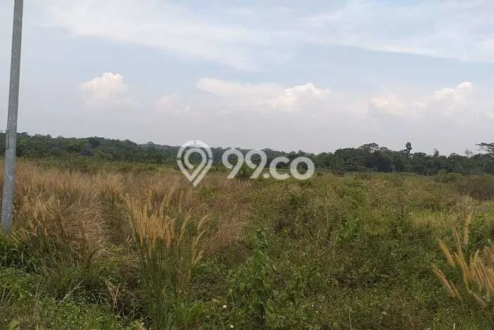 Tanah Dijual Lokasi Kalijati, Subang dengan Luas Tanah 2500m2 dan Status - Tanah Dijual Lokasi Kalijati, Subang dengan Luas Tanah 2500m2 dan Status -