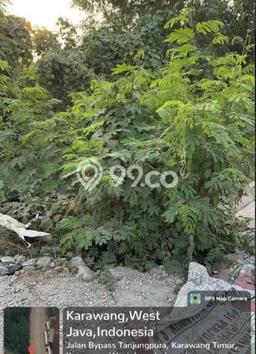 Kavling Tanah di Karawang Timur Dijual Luas 17000m2 Legalitas SHM Kavling Tanah di Karawang Timur Dijual Luas 17000m2 Legalitas SHM