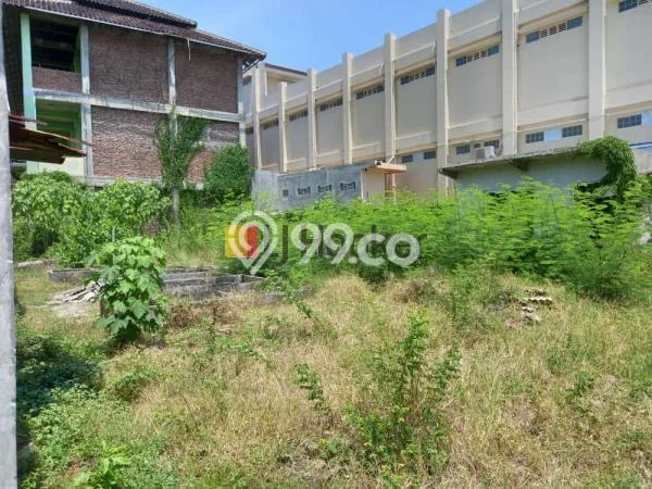 Kavling Tanah di Pegandon Dijual Luas 1518m2 Legalitas - Kavling Tanah di Pegandon Dijual Luas 1518m2 Legalitas -