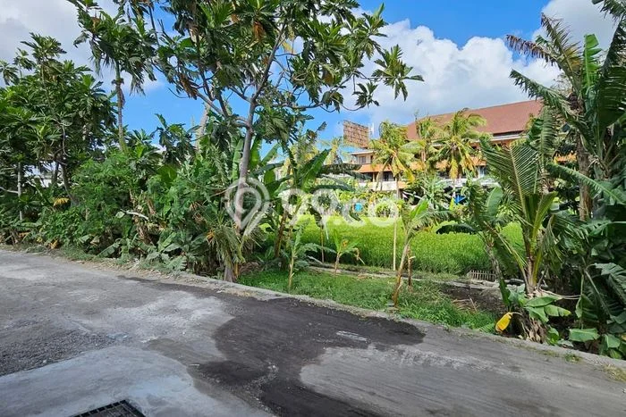 Kontrakan Prestisius 3 Kamar di Kerobokan Dekat Fasilitas Premium Kontrakan Prestisius 3 Kamar di Kerobokan Dekat Fasilitas Premium