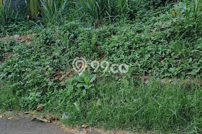 Tanah Komersial Dijual di Tangerang Tangerang 6500m2 Tanah Komersial Dijual di Tangerang Tangerang 6500m2
