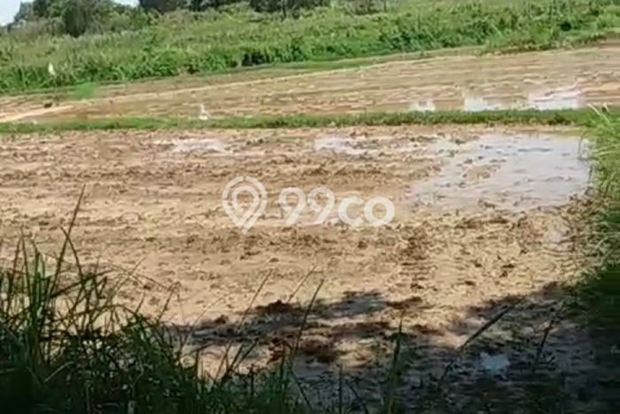 Kavling Tanah Dijual di Tenjo Bogor Spesifikasi 2635m2 Kavling Tanah Dijual di Tenjo Bogor Spesifikasi 2635m2