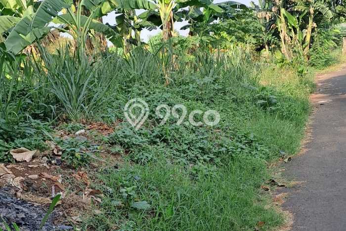 Tanah Komersial Dijual di Tangerang Tangerang 6500m2 Tanah Komersial Dijual di Tangerang Tangerang 6500m2