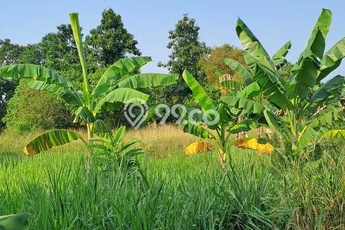 Tanah Komersial Dijual di Tangerang Tangerang 6500m2 Tanah Komersial Dijual di Tangerang Tangerang 6500m2