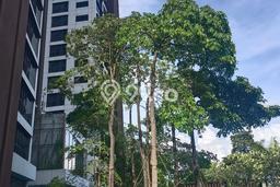 Dijual Apartemen Luxury di Gandaria 3 Kamar & 2 Kamar Mandi Dijual Apartemen Luxury di Gandaria 3 Kamar & 2 Kamar Mandi
