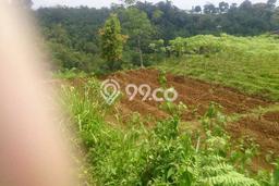 Tanah untuk Dijual di Bogor Barat Bogor Luas 35m2 Tanah untuk Dijual di Bogor Barat Bogor Luas 35m2
