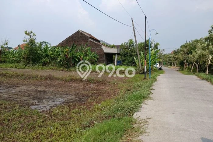 Untuk Dijual Tanah di Sayung Demak Luas 4571m2 SHM Untuk Dijual Tanah di Sayung Demak Luas 4571m2 SHM