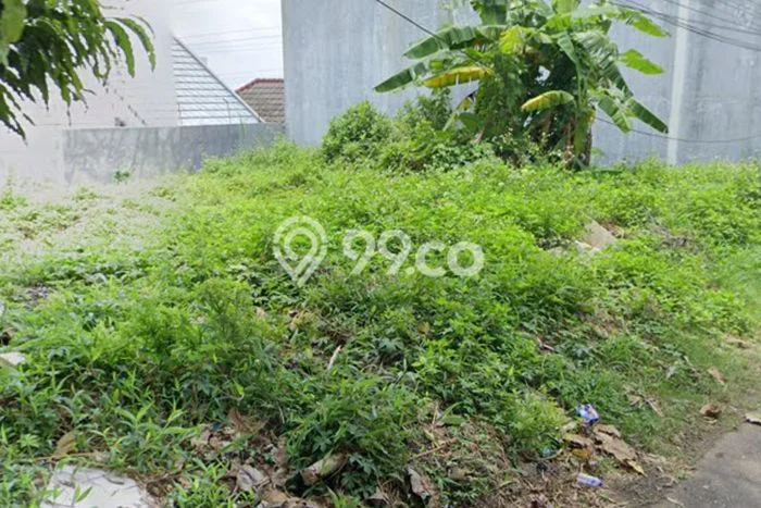 Tanah Kavling Dijual di Bukit Sari, Semarang dengan Luas Tanah 496m2 Tanah Kavling Dijual di Bukit Sari, Semarang dengan Luas Tanah 496m2
