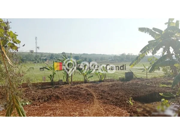 Kavling Tanah Dijual di Ngaliyan Semarang Spesifikasi 3781m2 Kavling Tanah Dijual di Ngaliyan Semarang Spesifikasi 3781m2