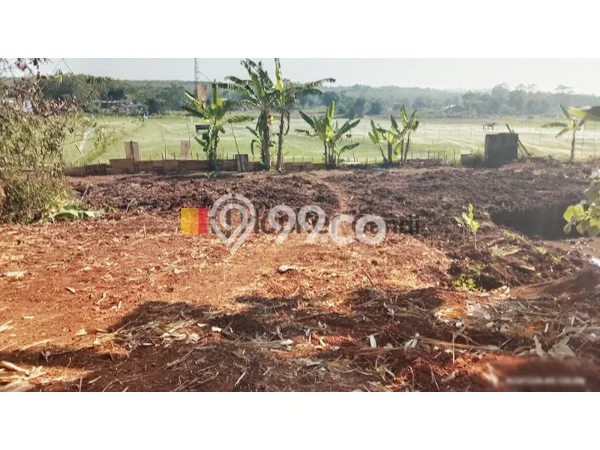 Kavling Tanah Dijual di Ngaliyan Semarang Spesifikasi 3781m2 Kavling Tanah Dijual di Ngaliyan Semarang Spesifikasi 3781m2
