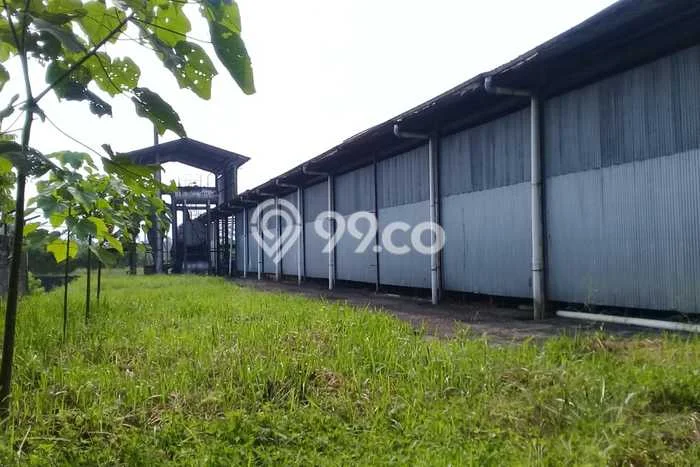 Unit Pabrik Dijual di Cikembar Sukabumi Luas Bangunan 3000m2 Unit Pabrik Dijual di Cikembar Sukabumi Luas Bangunan 3000m2