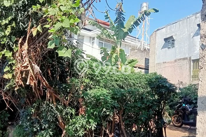 Tanah Dijual Area Strategis di ciumbuleuit Bandung 217m2 Tanah Dijual Area Strategis di ciumbuleuit Bandung 217m2