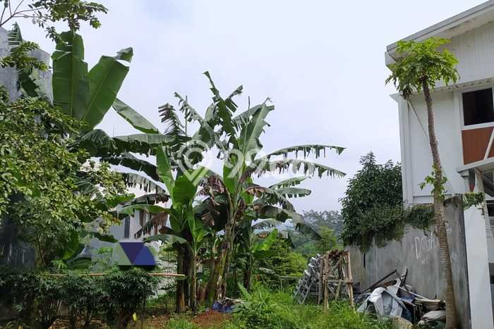 Tanah Kavling Dijual di Bandung dengan Spesifikasi 308m2 Tanah Kavling Dijual di Bandung dengan Spesifikasi 308m2