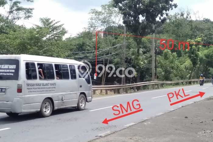 Untuk Dijual Tanah di Batang Batang Luas 9895m2 SHM Untuk Dijual Tanah di Batang Batang Luas 9895m2 SHM