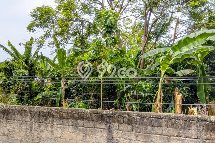 Tanah Dijual di Jakarta Selatan Seluas 1000m2 Strategis Tanah Dijual di Jakarta Selatan Seluas 1000m2 Strategis