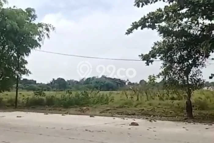 Jarang Ada! Tanah di Jawilan Punya Luas 10000m2 SHM Jarang Ada! Tanah di Jawilan Punya Luas 10000m2 SHM