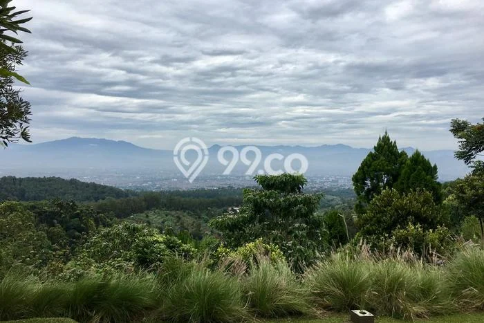 Kavling Tanah Dijual di Lembang Bandung Barat Spesifikasi 3385m2 Kavling Tanah Dijual di Lembang Bandung Barat Spesifikasi 3385m2